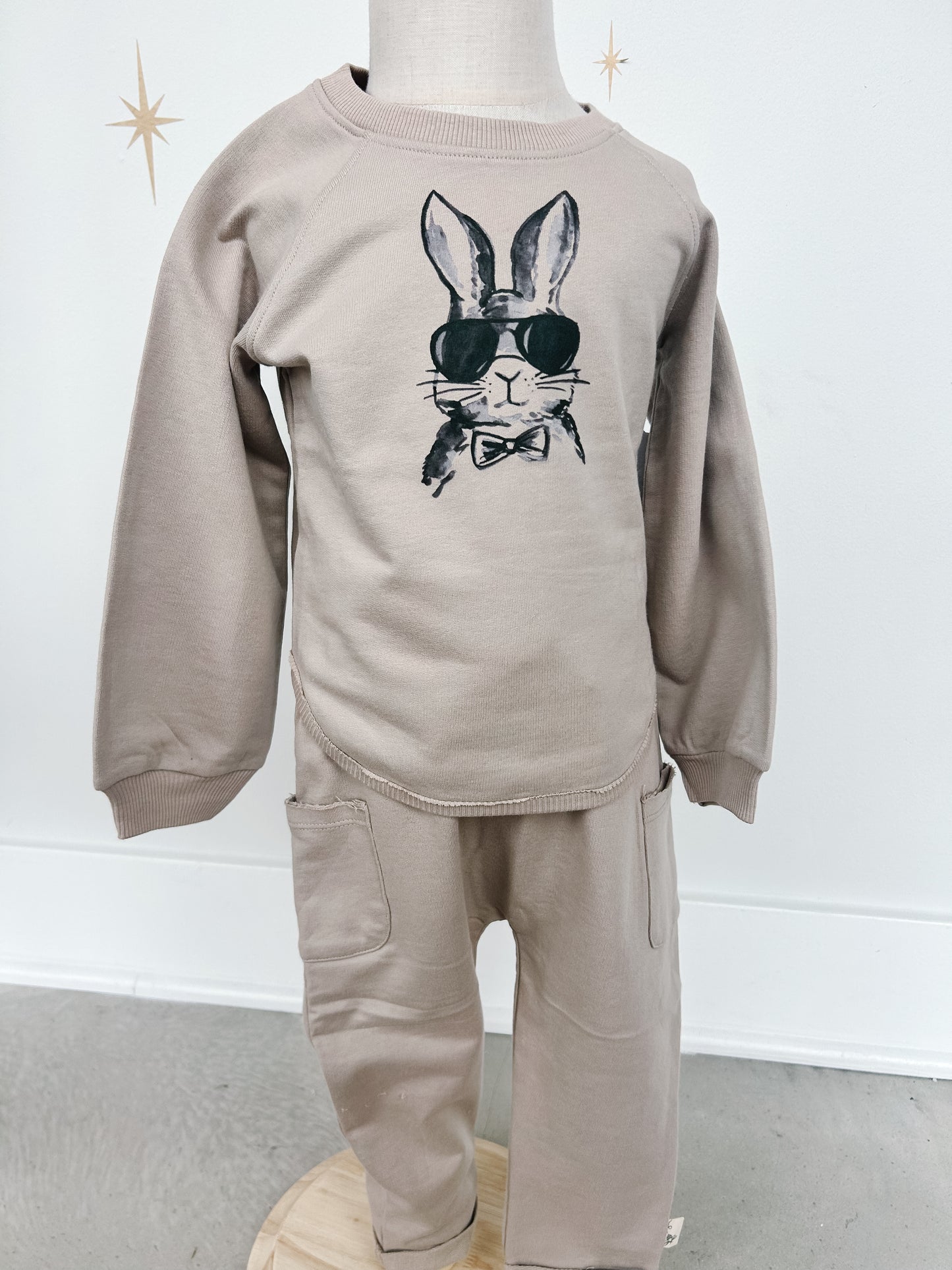 Cool Bunny Set