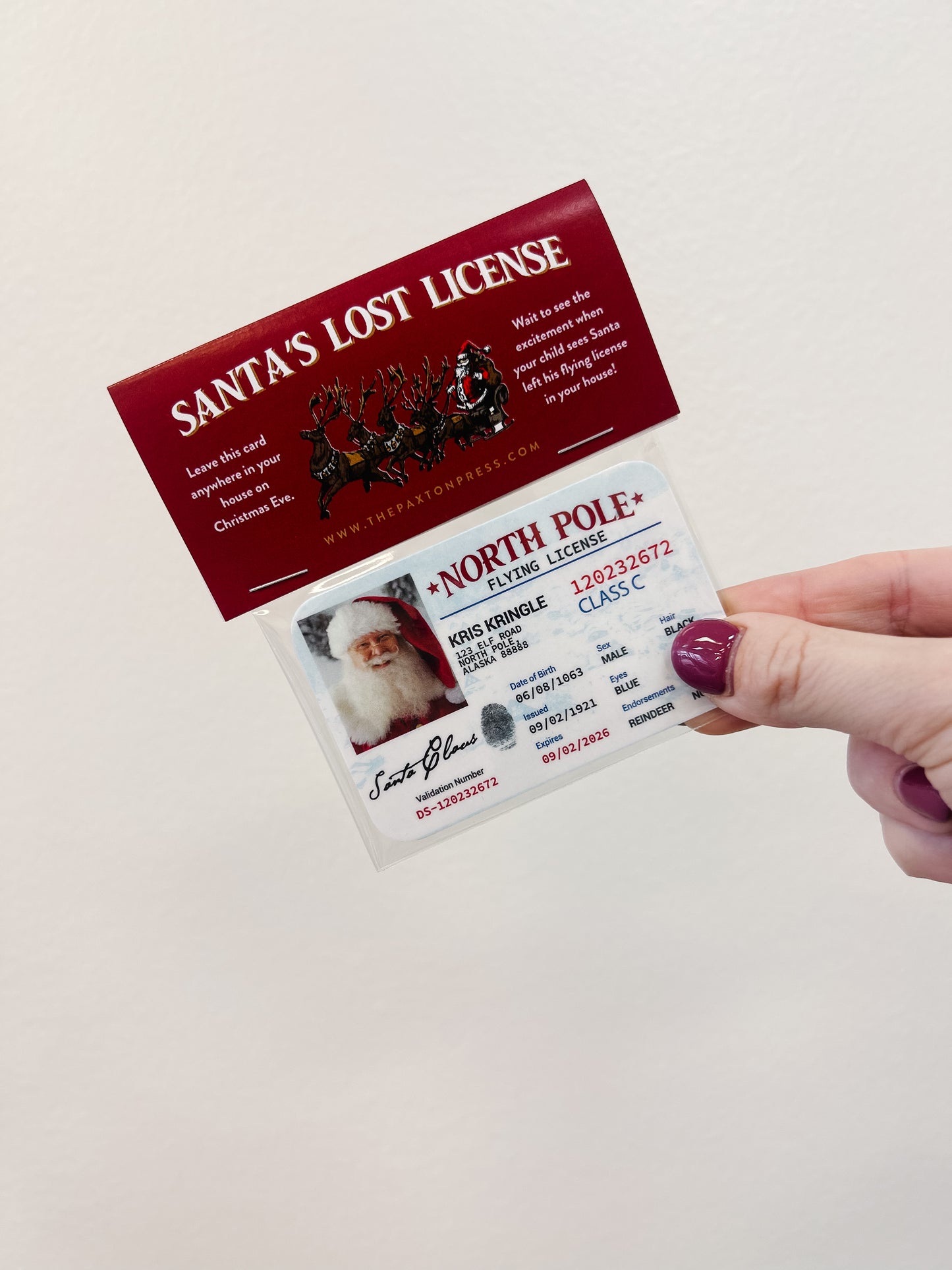 Santa’s Lost Flying License