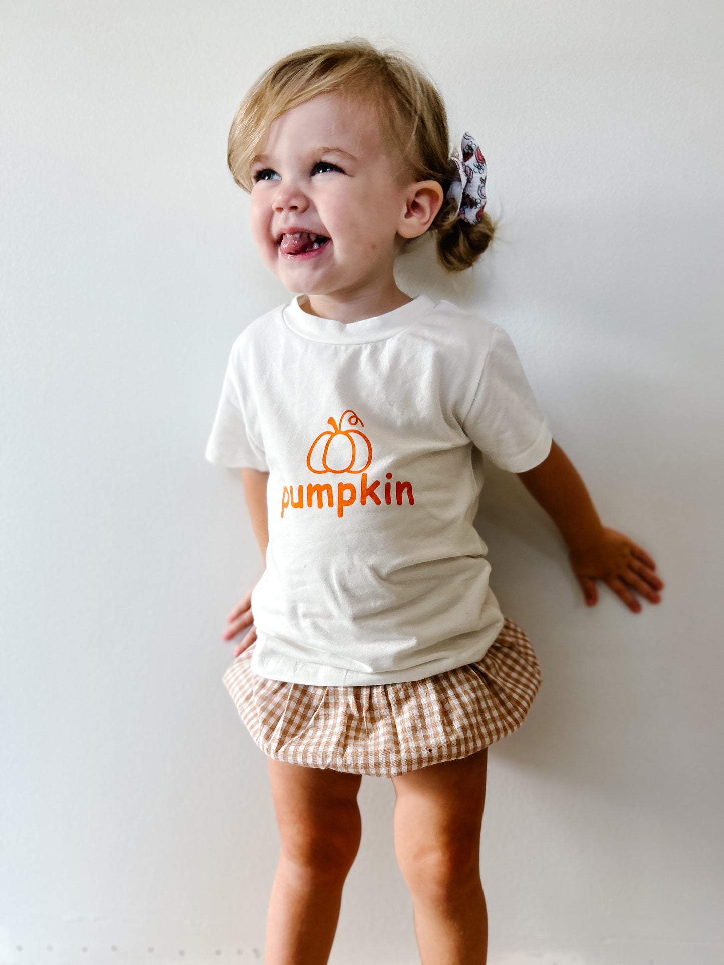 Gingham Pumpkin Set