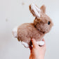 Hera the Bunny