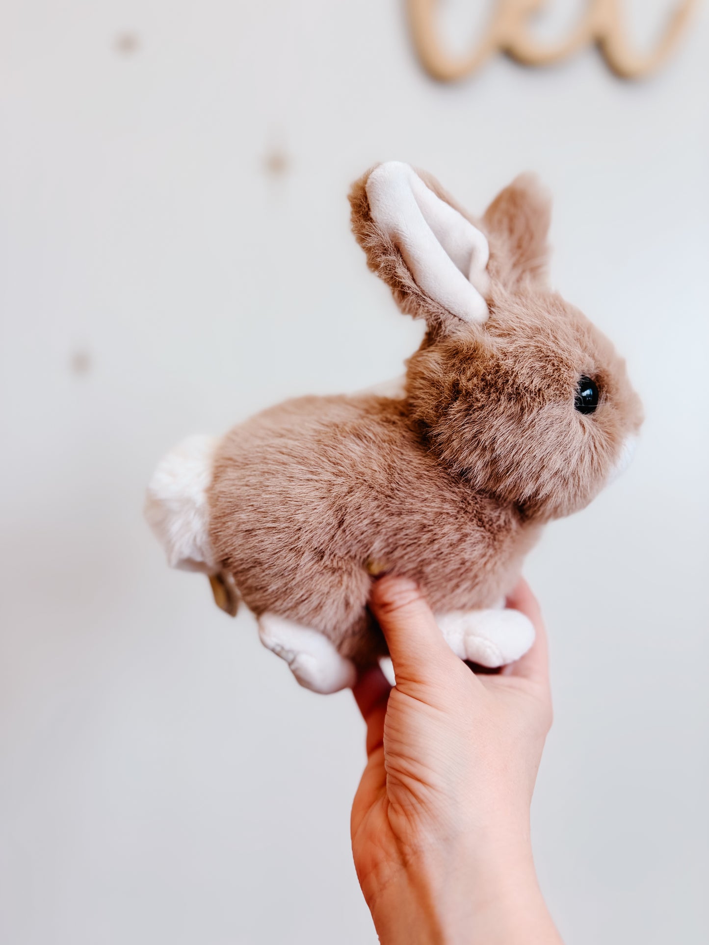 Hera the Bunny