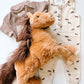 Horse Tank Romper