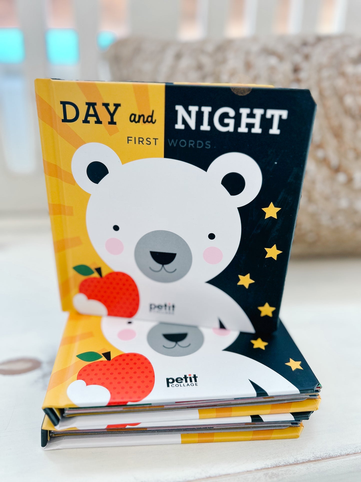 Day and Night First Words Book