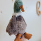"Norman" the Duck