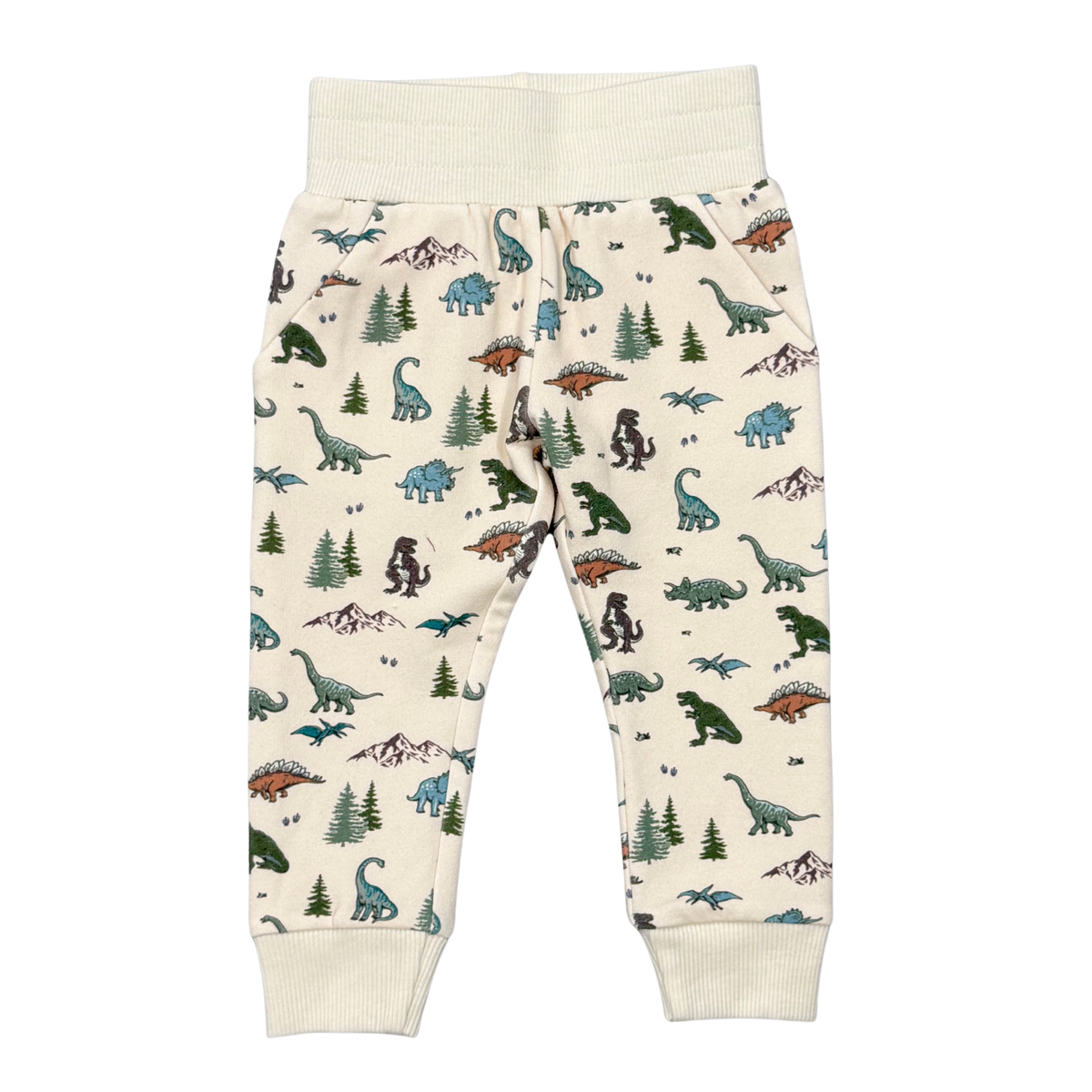 Dino Land Sweatpants