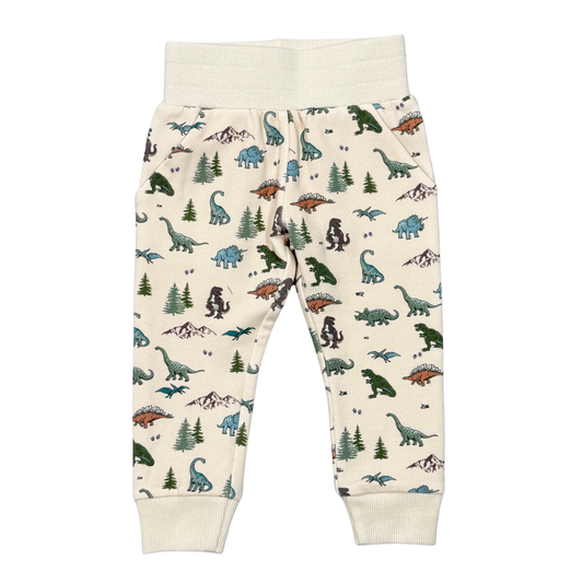 Dino Land Sweatpants
